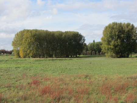 Oktober 2013